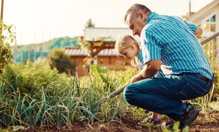 Munkavédelem a ház körül: A hallás szerepe a balesetmegelőzésben Munkavédelem a ház körül: A hallás szerepe a balesetmegelőzésben