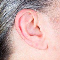 Victofon Celebrate 80 P miniRITE